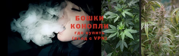 винт Белокуриха