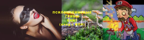 а пвп мука Богородицк