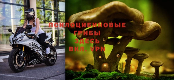 а пвп мука Богородицк