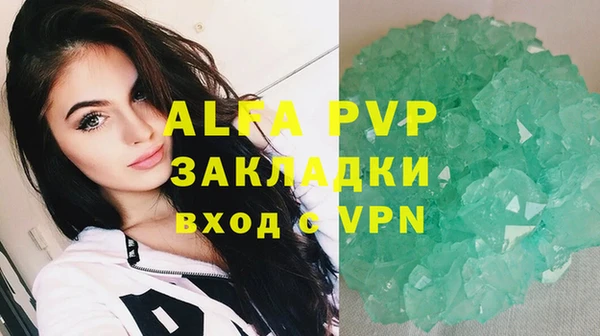 экстази Богданович
